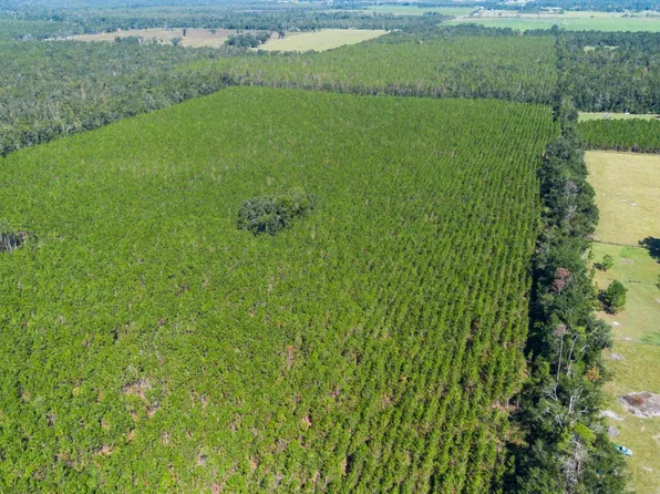 1 221st Rd, Live Oak, FL 32060