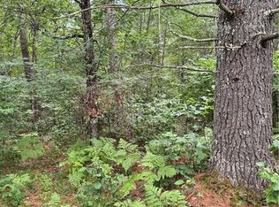 0 East Wilderness Court, Barnes, WI 54873