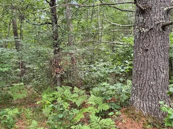 0 E Wilderness Court, Barnes, WI 54873