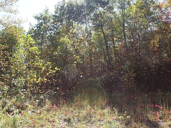 5th image of LOT 27 Long Creek Preserve