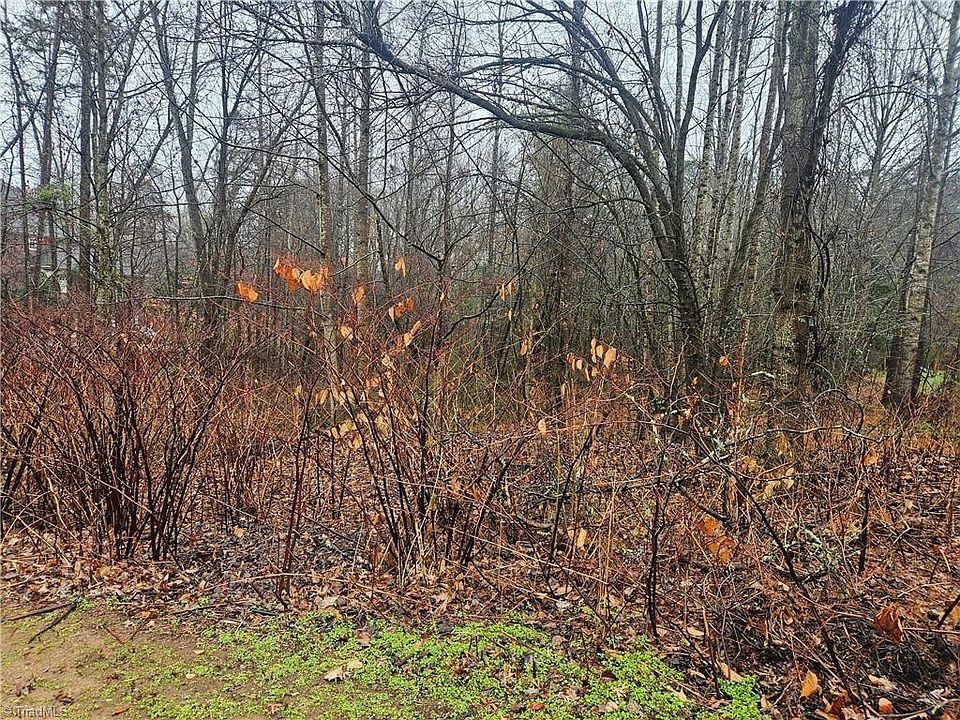 2nd image of 2040 Jefferson Oaks Dr Lot 29