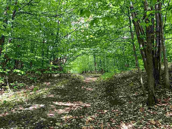 4th image of 4345 Mountainview Trl