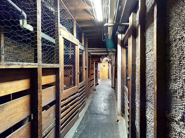 120 Summer St #11 — Photo 14