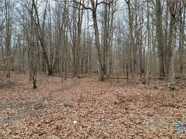 10999 Angola Rd, Swanton, OH 43558