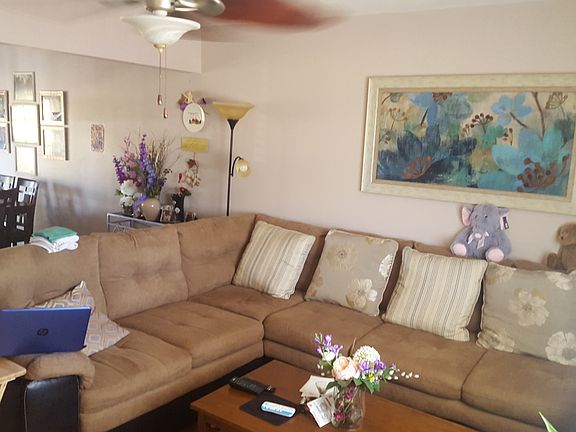 Updated Ceiling Fans & light