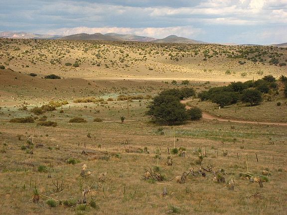 S. view to Salars Rd.       