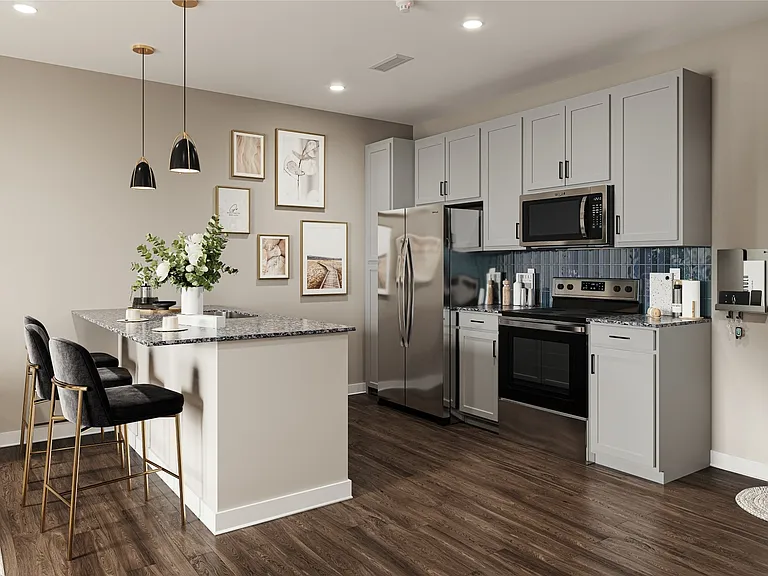 The Patent Elevated Kitchen Rendering