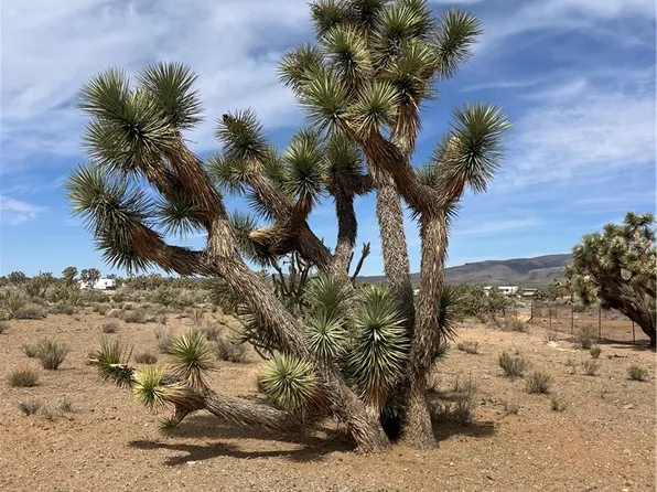 327-02-131 Sunflower Dr, Dolan Springs, AZ 86441