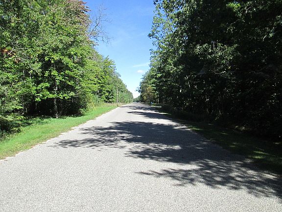 4th image of Big Buck Dr