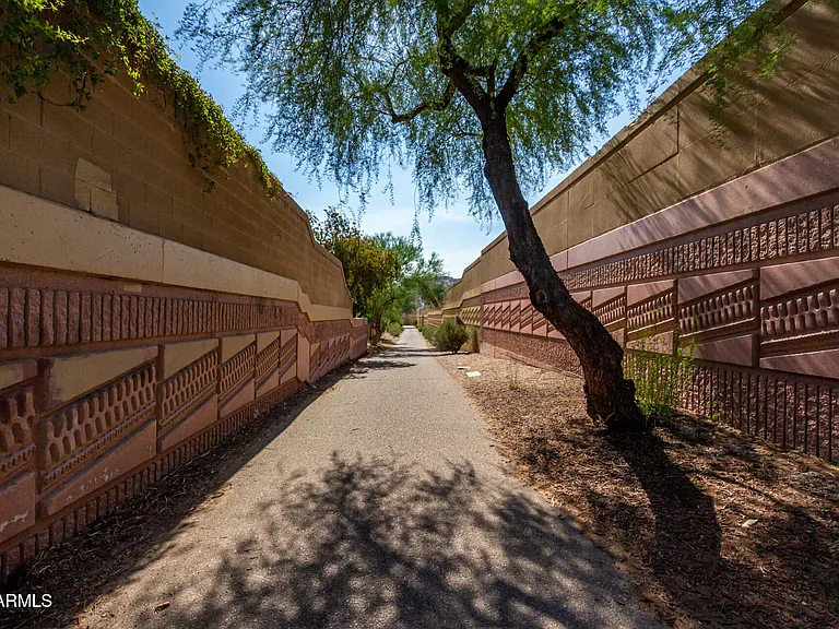 2909 E Las Rocas Dr — Photo 44