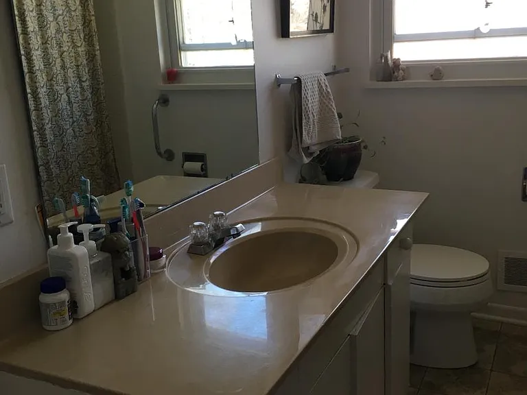 primary bath. Plenty of counter space, tub-shower combo.