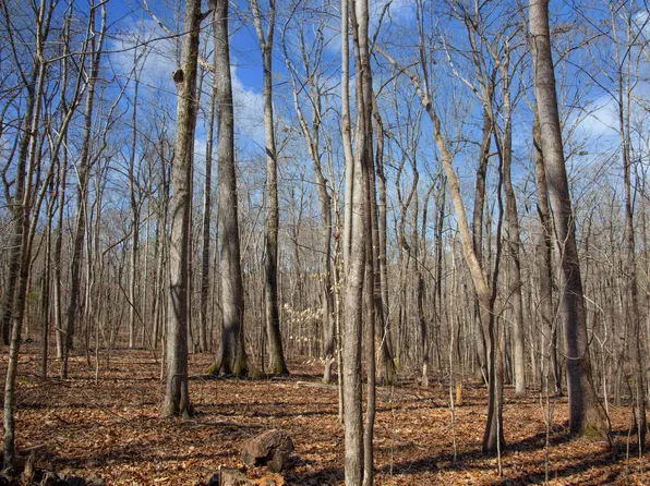 0 Rocky Top Dr #6, Rougemont, NC 27572