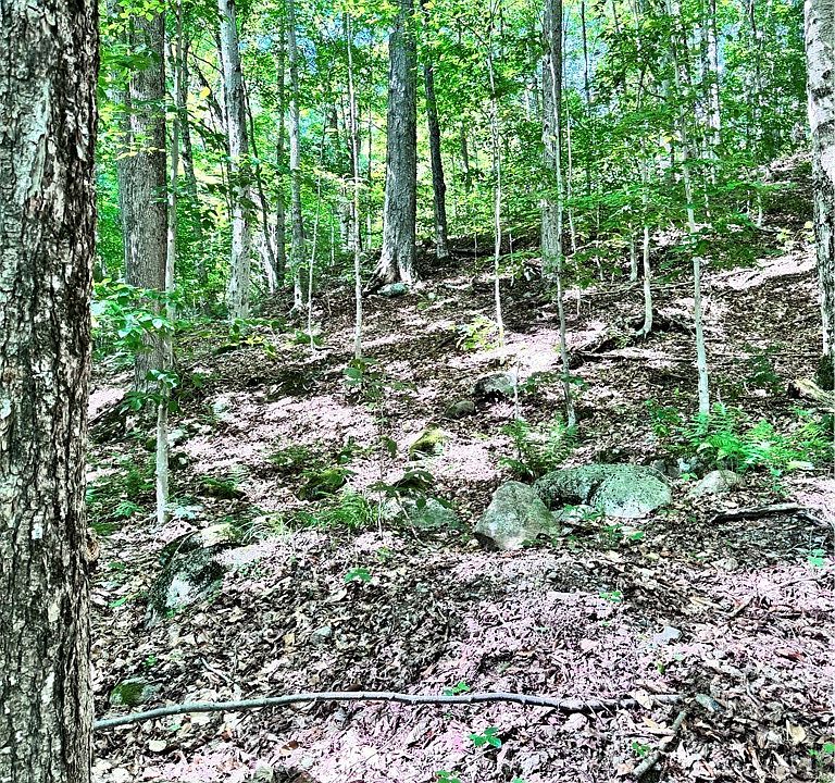 1st image of Oneida Rd Lot 5