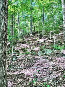 Oneida Rd Lot 5, Old Forge, NY, 13420