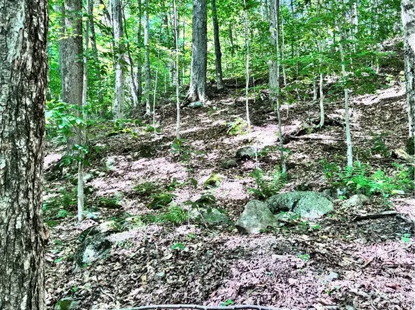 Oneida Rd Lot 5, Old Forge, NY 13420