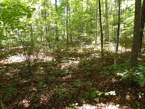 5th image of 0 Brown Creek Dr #194