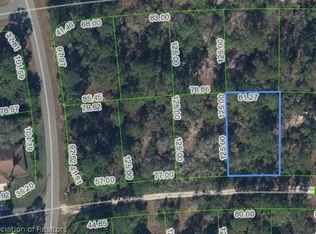 264 Phantasy Ave, Lake Placid, FL 33852