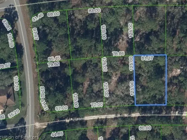 264 Phantasy Ave, Lake Placid, FL 33852