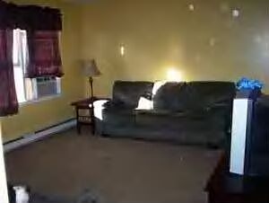 fresh painted living room