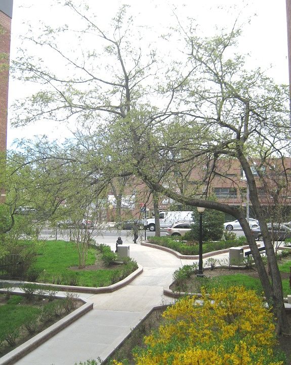 Manicured Grounds