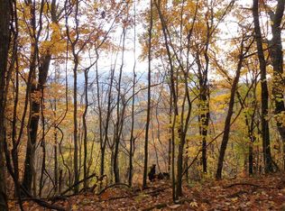 229 Clarks Cove Rd, Leicester, NC 28748