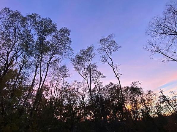 23 Randolph Pl APT 204