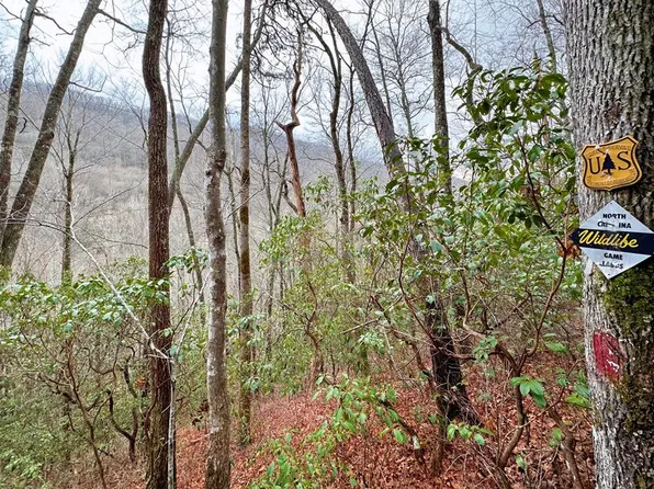 4003 Junaluska Rd, Topton, NC 28781