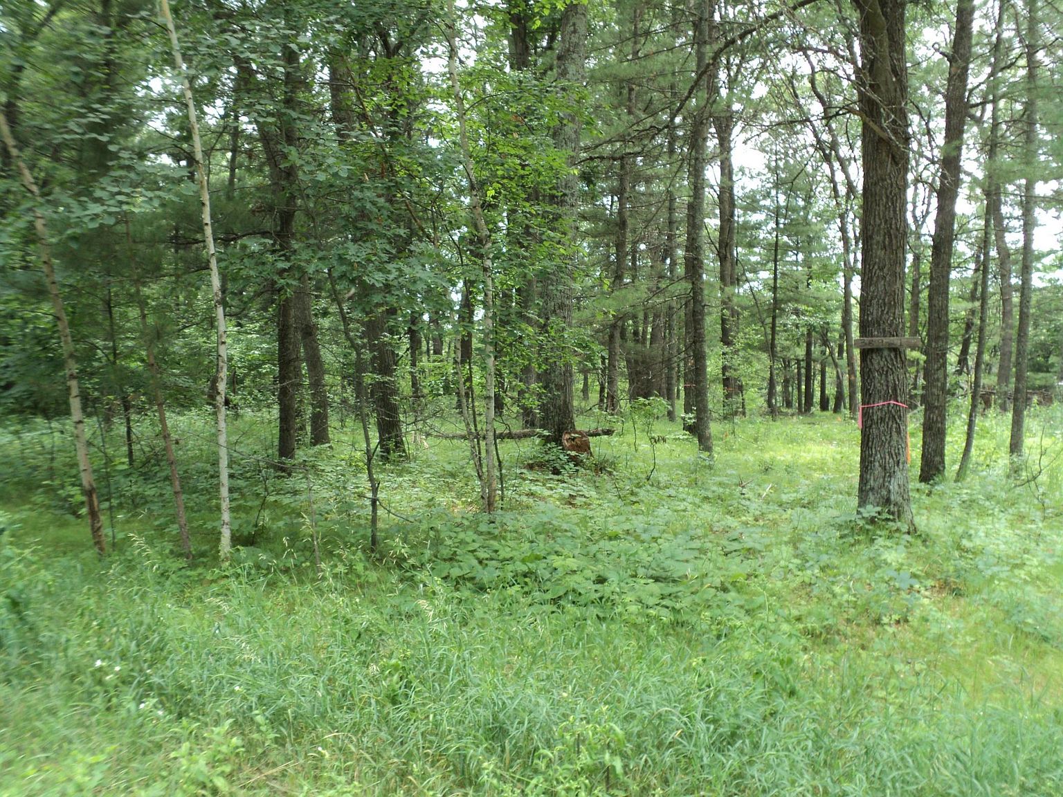 38921 Odin Ct, Browerville, MN 56438 MLS 6351092 Zillow