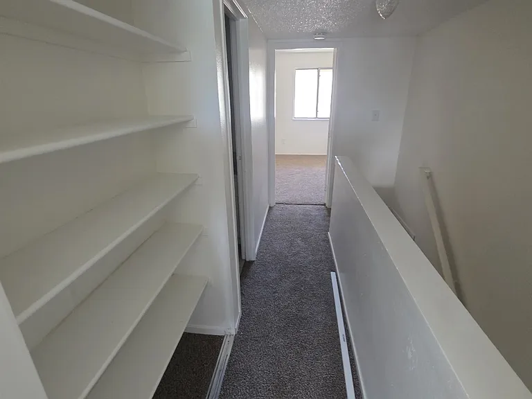 859 Nutmeg Pl #3 — Photo 10