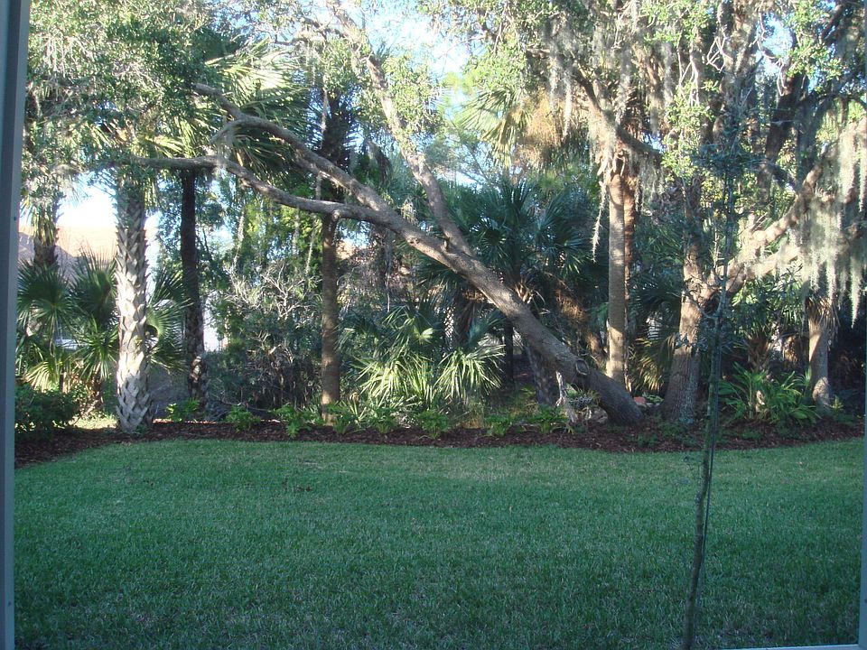 Lush landscaped backyard