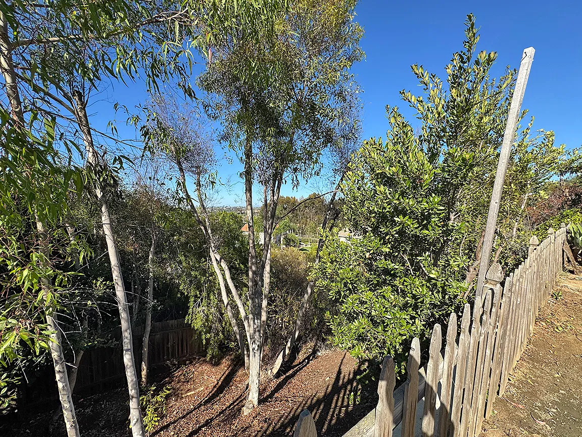 3 bed, 2.5 bath, 1855 sqft, $5,000 — Photo 4