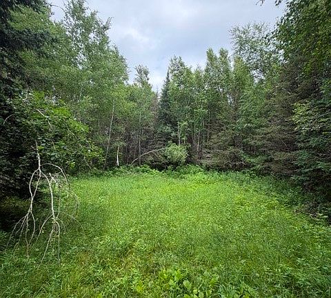 5th image of 20 Acres S 5th Avenue