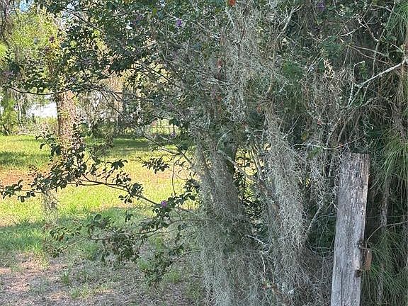5th image of 29244 SANIBEL DRIVE LOT 54