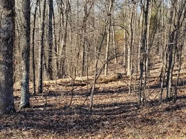 59 Eagle Shore Dr, Dover, TN 37058