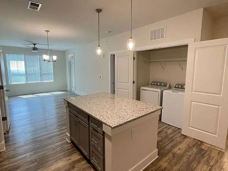 Open Kitchen and Living Area
