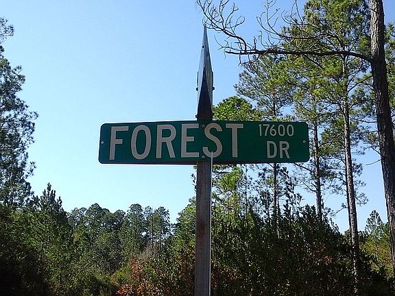 4th image of 17603 Forest Dr