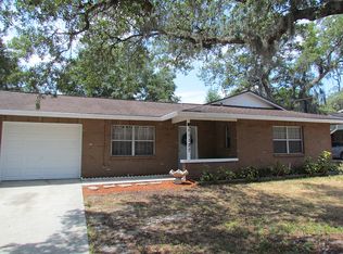 11127 Stafford Ln, Riverview, FL 33578