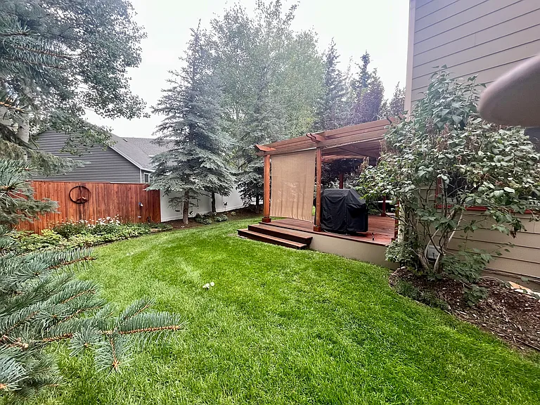 Large Backyard