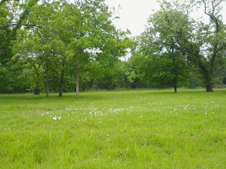 2nd image of 4819 Pecan Reserve Ln