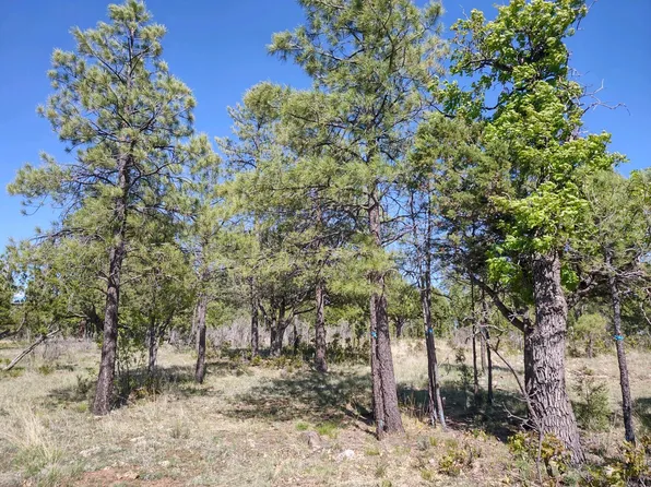 2245 Well Water Rd, Happy Jack, AZ 86024