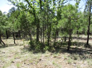 4373 Juniper Dr, Happy Jack, AZ 86024
