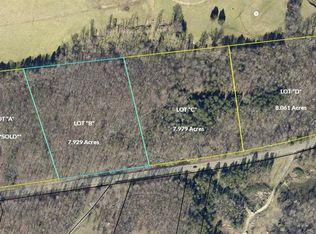 0 Highway 55 Hwy W LOT B, Blacksburg, SC 29702