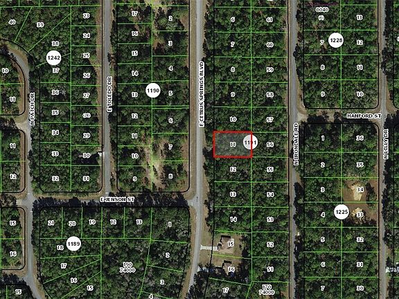3rd image of 1458 E Citrus Springs Blvd