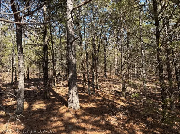 9 Suvada Ln, Paris, AR 72855