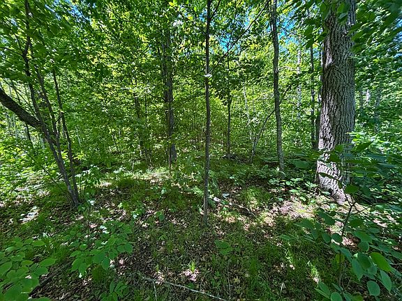 4th image of Fawn Trl NE