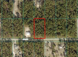 LOT 3 SW 75th St LOT 3, Dunnellon, FL 34432