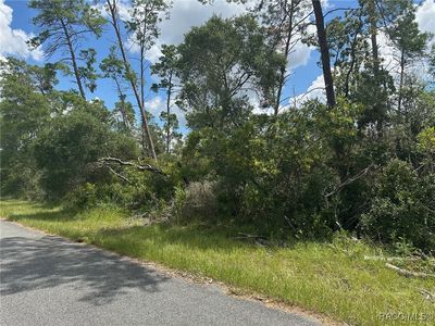 8191 N Feather Ave, Citrus Springs, FL, 34433