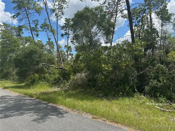 8191 N Feather Ave, Citrus Springs, FL 34433