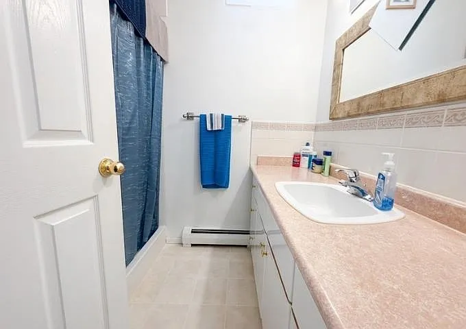 384 Blue Mountain St #BASEMENT — Photo 5