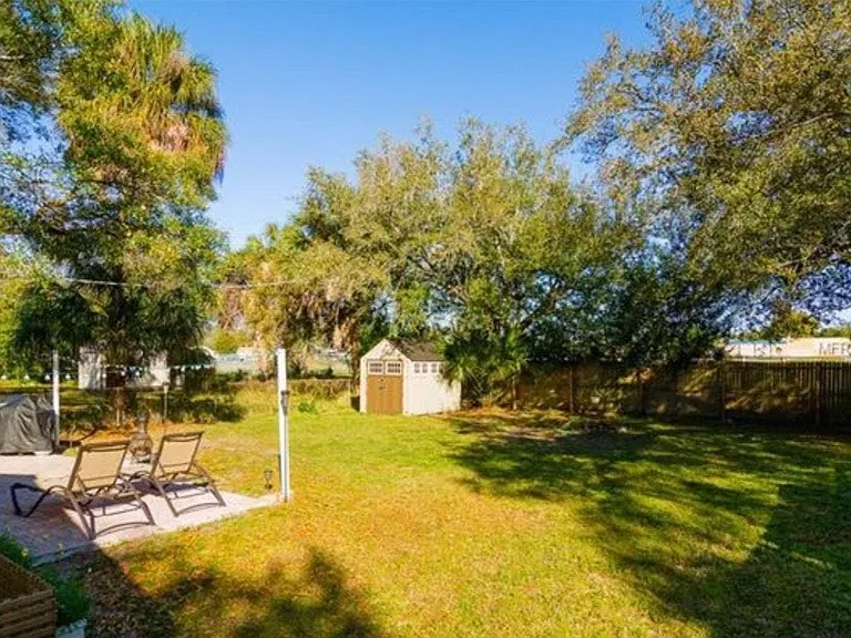 back yard